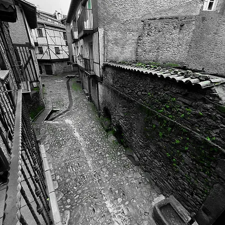 Panther Villadolores