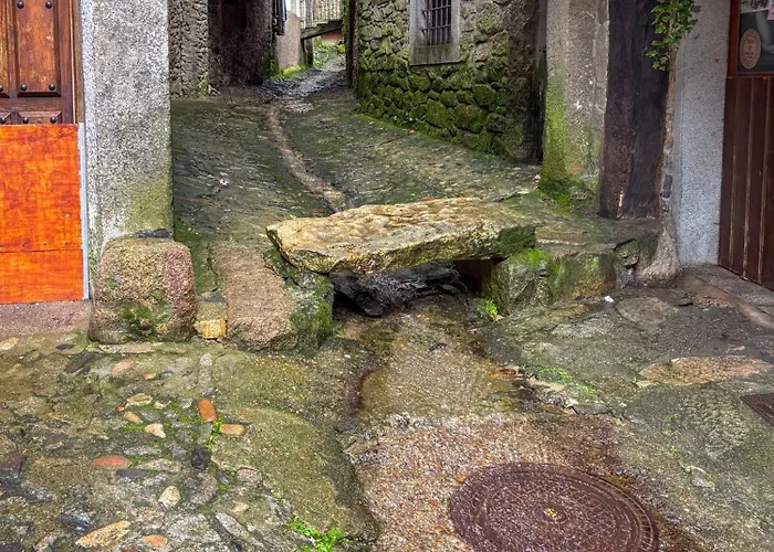 Panther Villadolores *