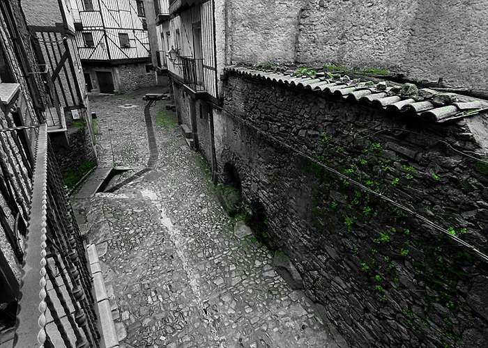 Panther Villadolores