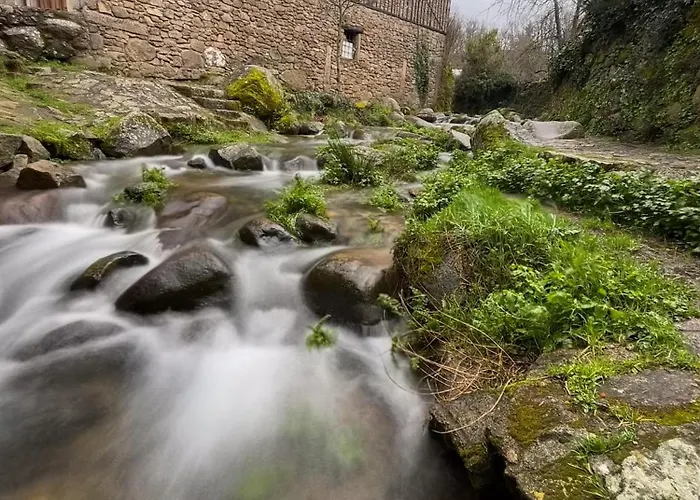 Panther Villadolores 아파트